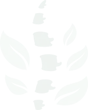imgss2h2 Healwithin Homeopathy