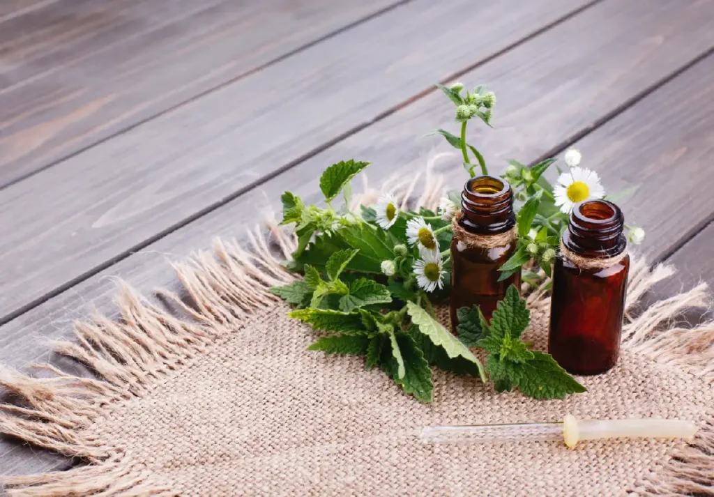 scopeofhomeopathy1 Healwithin Homeopathy Healwithin Homeopathy
